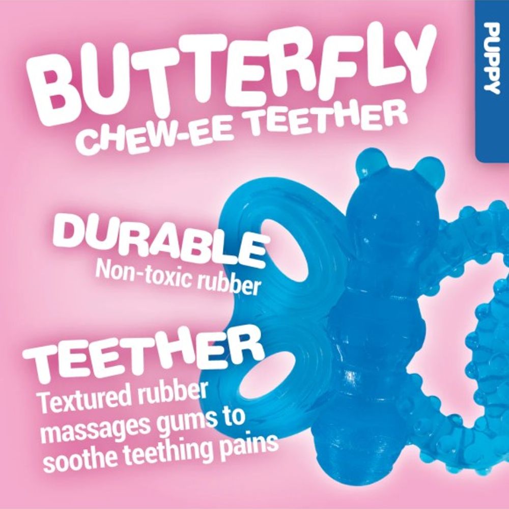 JW, Assorted Butterfly Puppy Teether Chew Toy