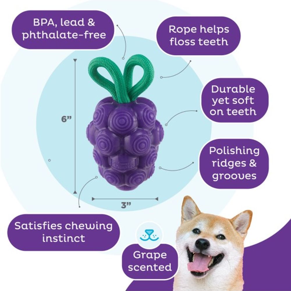 Outward Hound, Dental Grape Dog Chew Toy