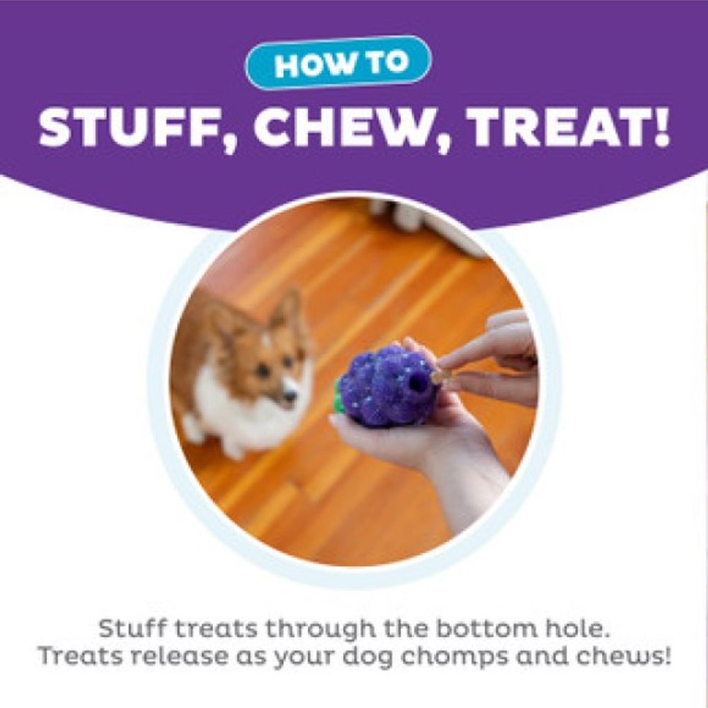 Outward Hound, Dental Grape Dog Chew Toy