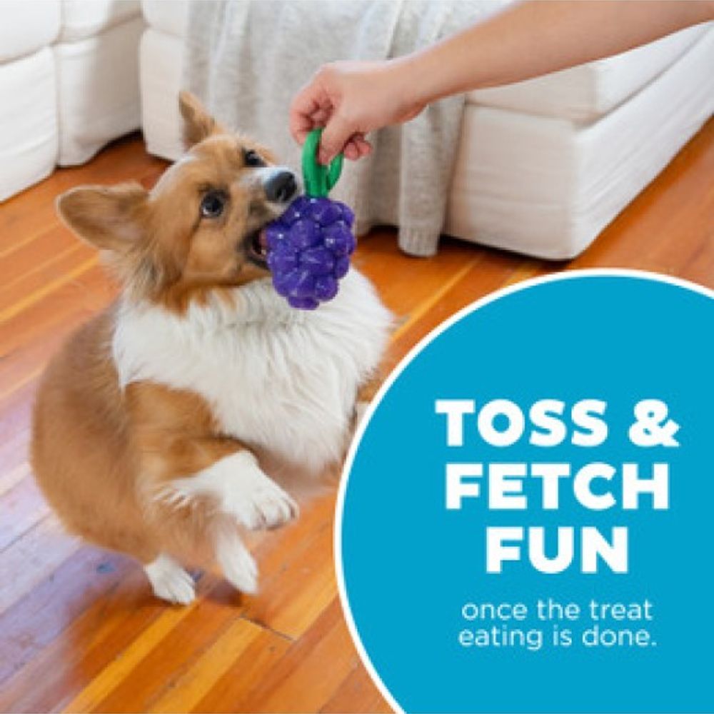 Outward Hound, Dental Grape Dog Chew Toy