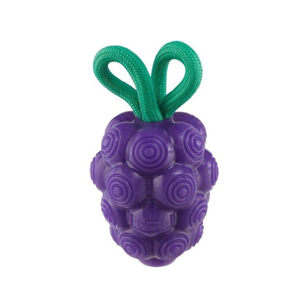 Outward Hound, Dental Grape Dog Chew Toy