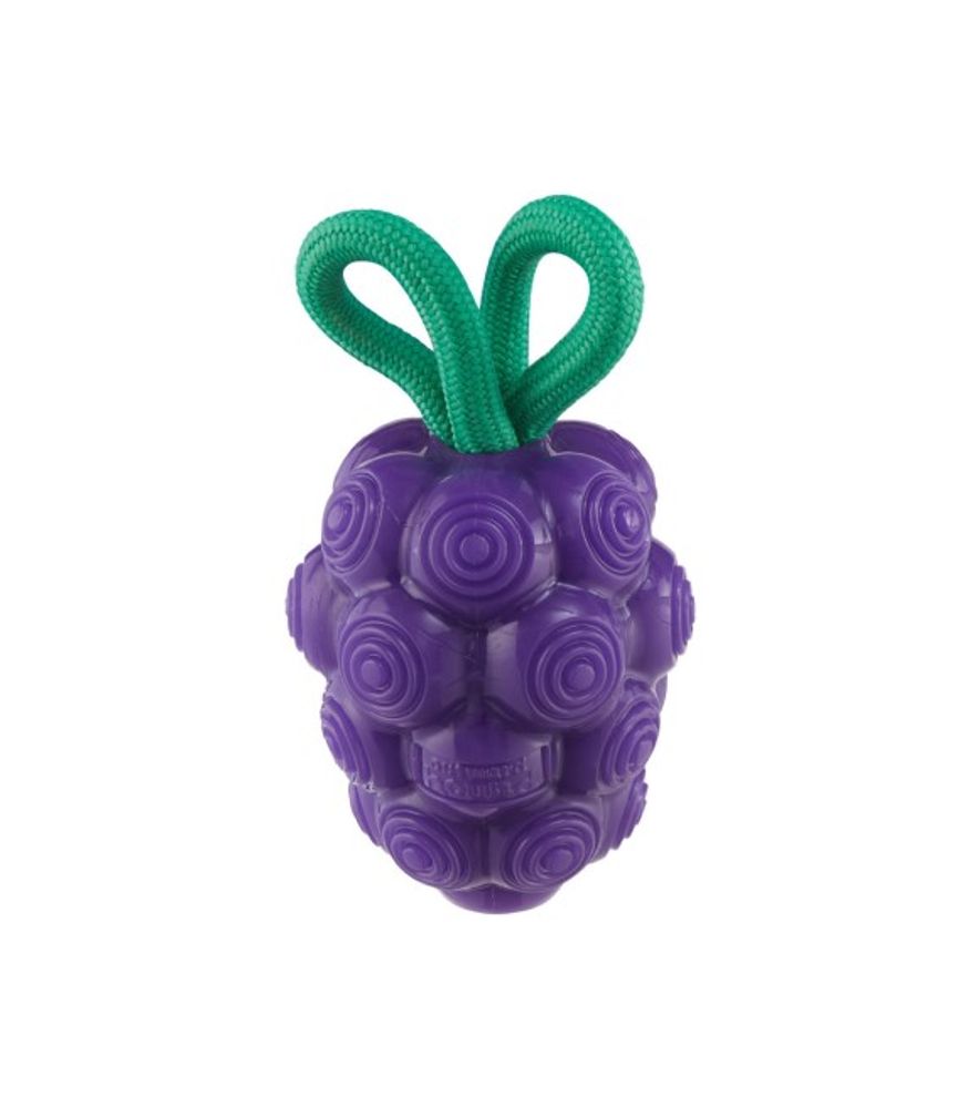 Outward Hound, Dental Grape Dog Chew Toy