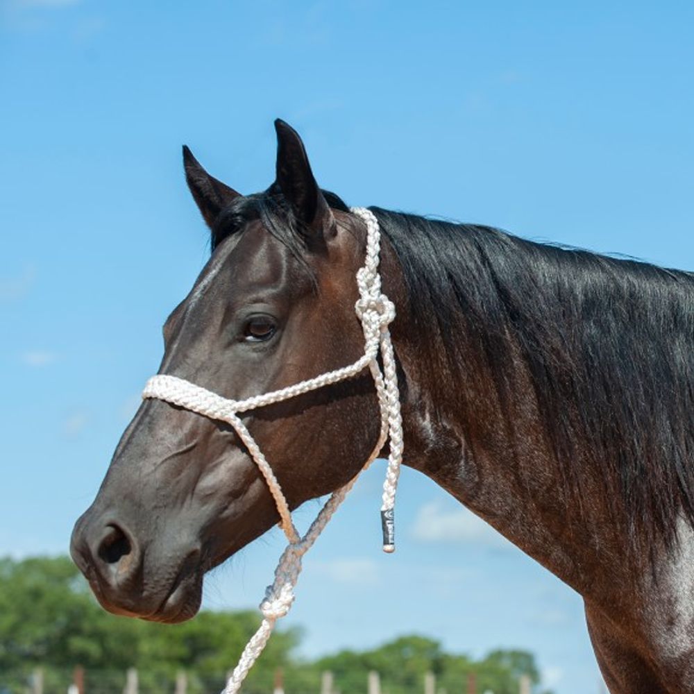 Cashel, Flat Braid Halter and Leadrope