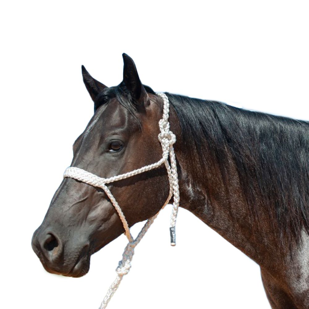 Cashel, Flat Braid Halter and Leadrope