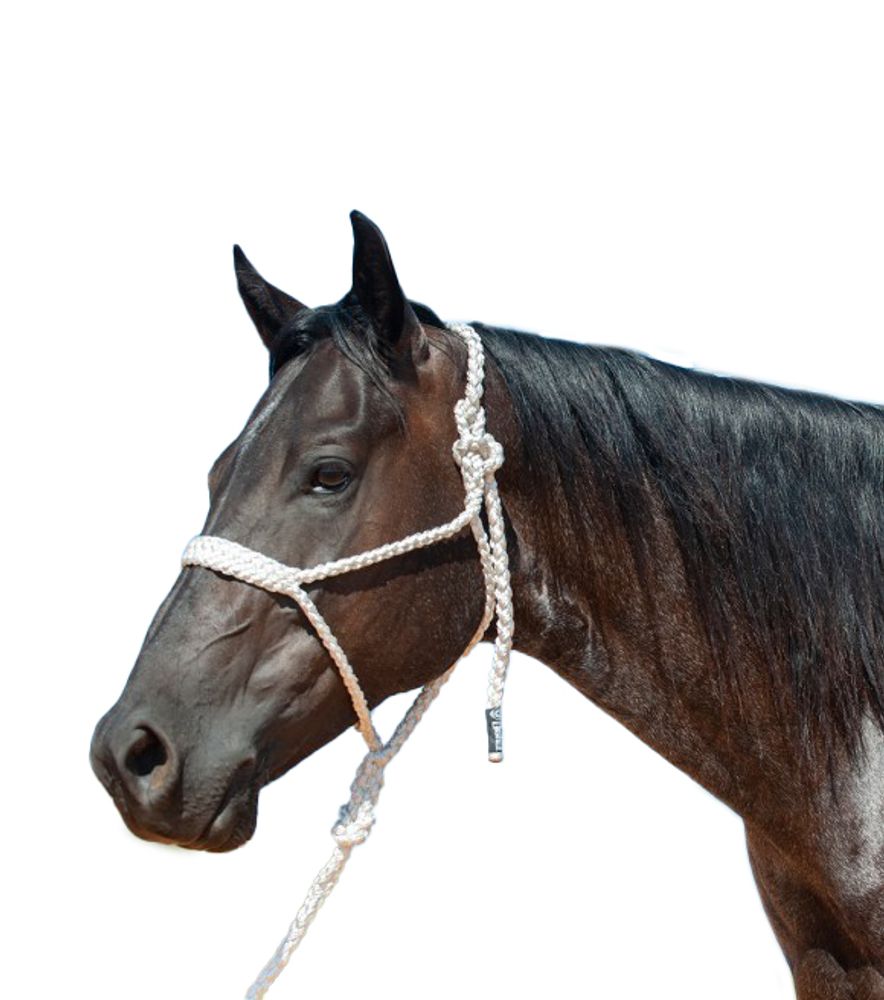 Cashel, Flat Braid Halter and Leadrope