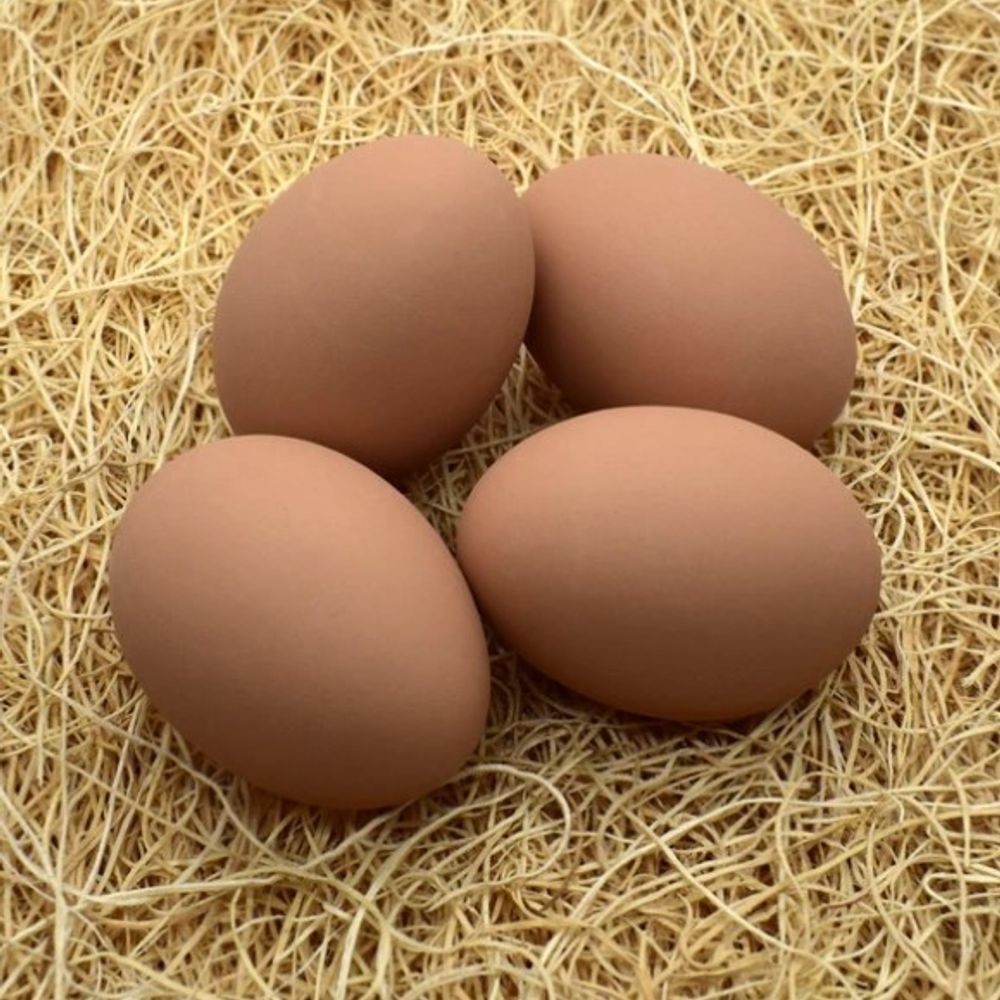 Brown Clay Ceramic Chicken Egg