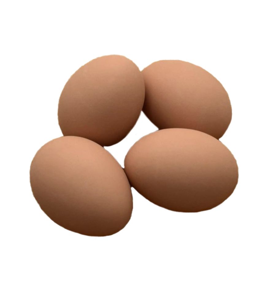 Brown Clay Ceramic Chicken Egg