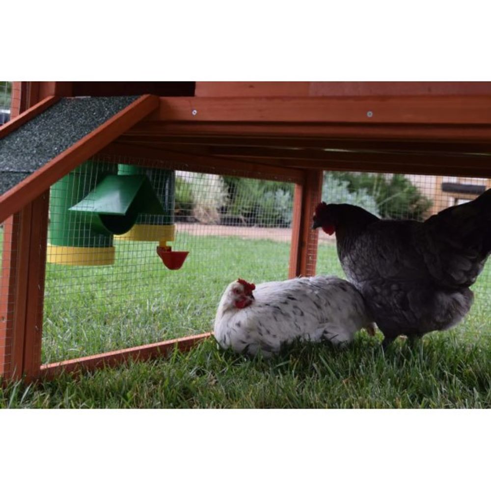 Rugged Ranch, Poultry Feeder
