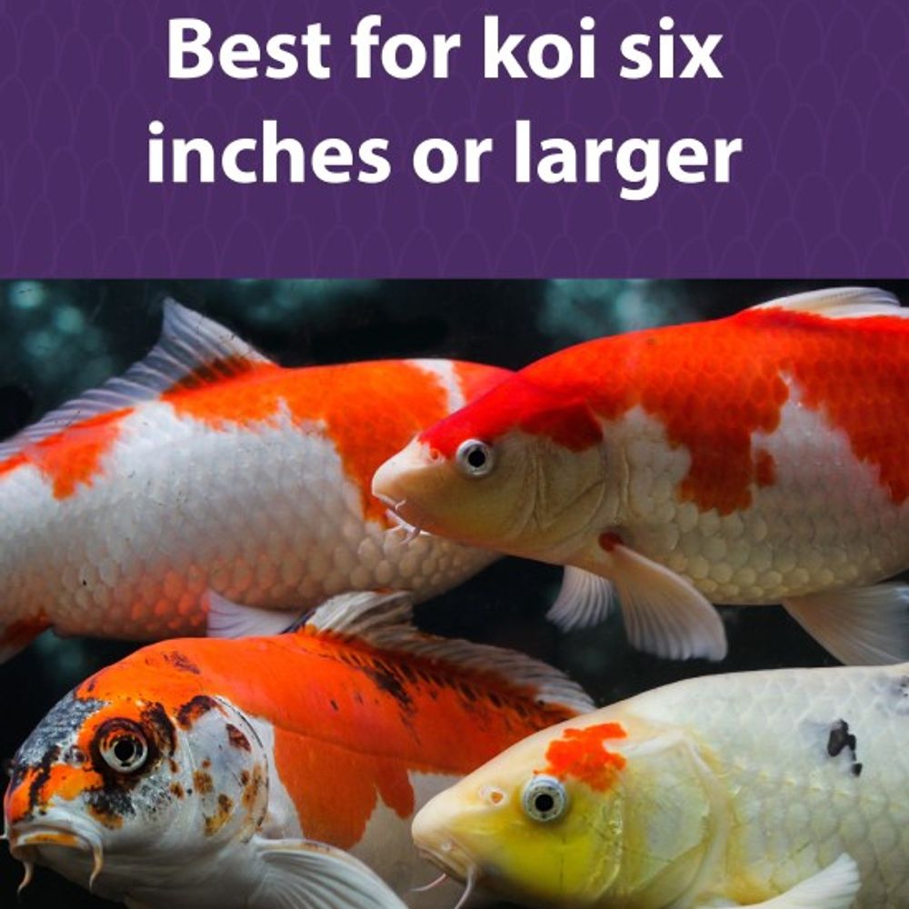 Mazuri, Koi Platinum Nugget Diet, 3.5 lb 