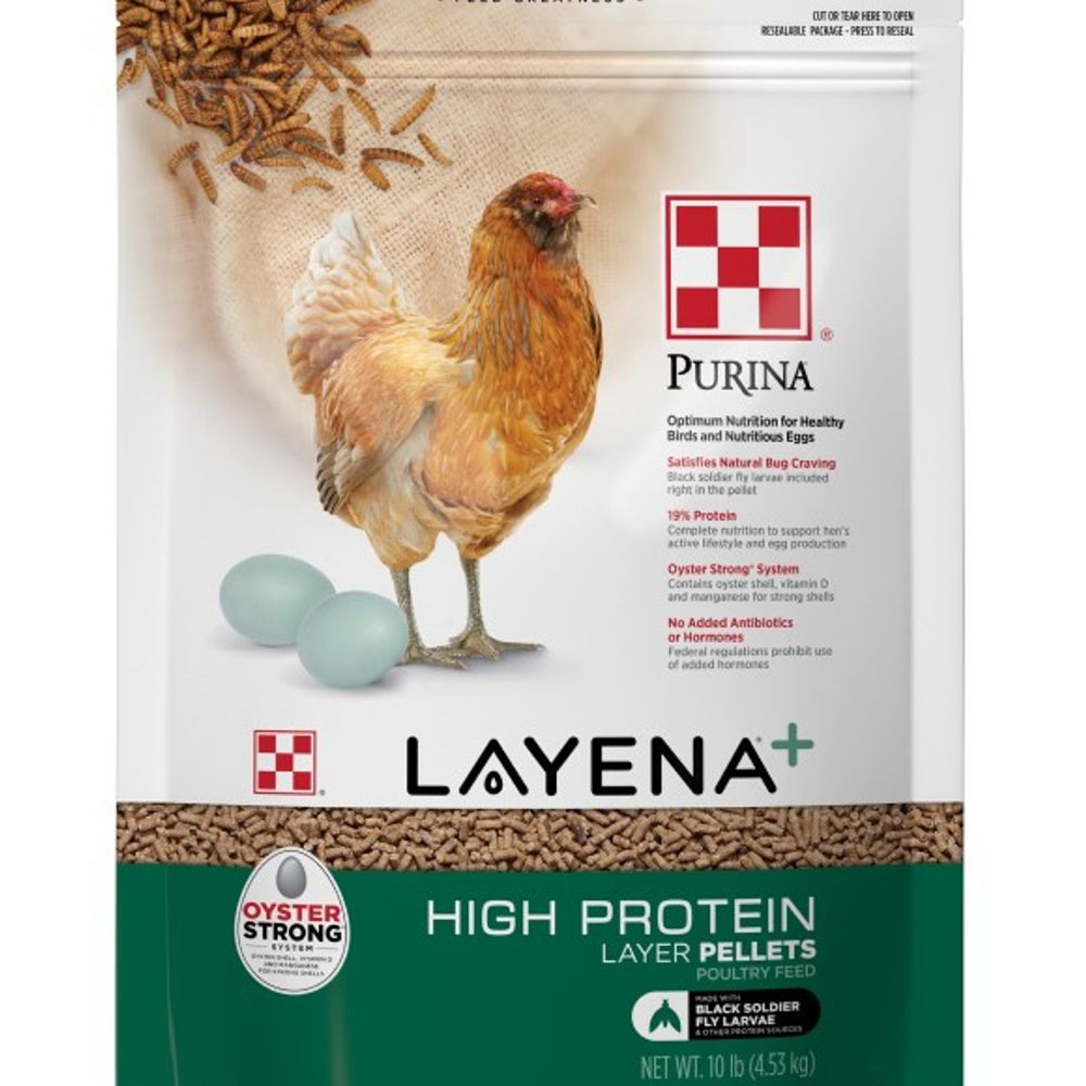 Purina, Layena High Protein Pellet, 10 lb