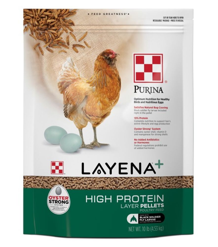 Purina, Layena High Protein Pellet, 10 lb