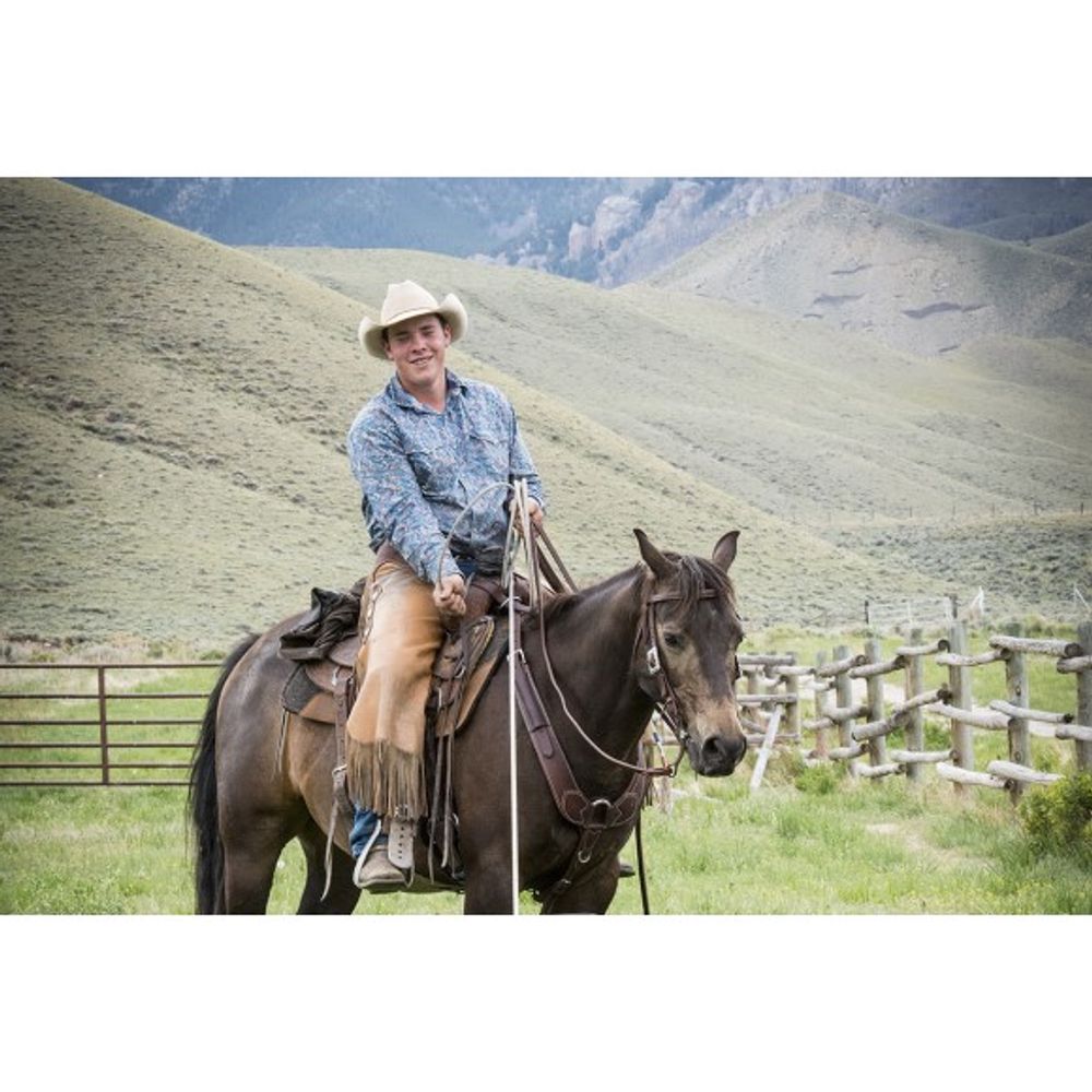 Weaver, Working Tack Headstall 