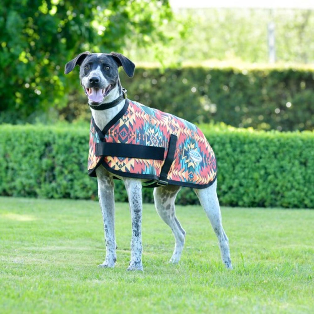 WeatherBeeta, Western Sunset ComfiTec Essential Dog Coat