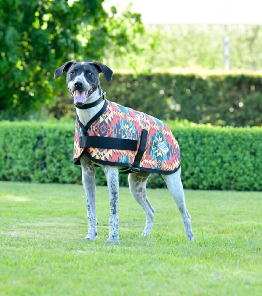WeatherBeeta, Western Sunset ComfiTec Essential Dog Coat