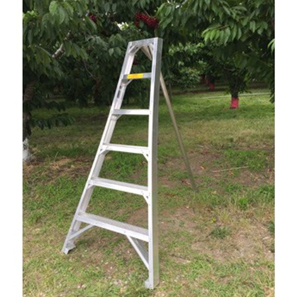Ladder King, 6' Aluminum Orchard Ladder
