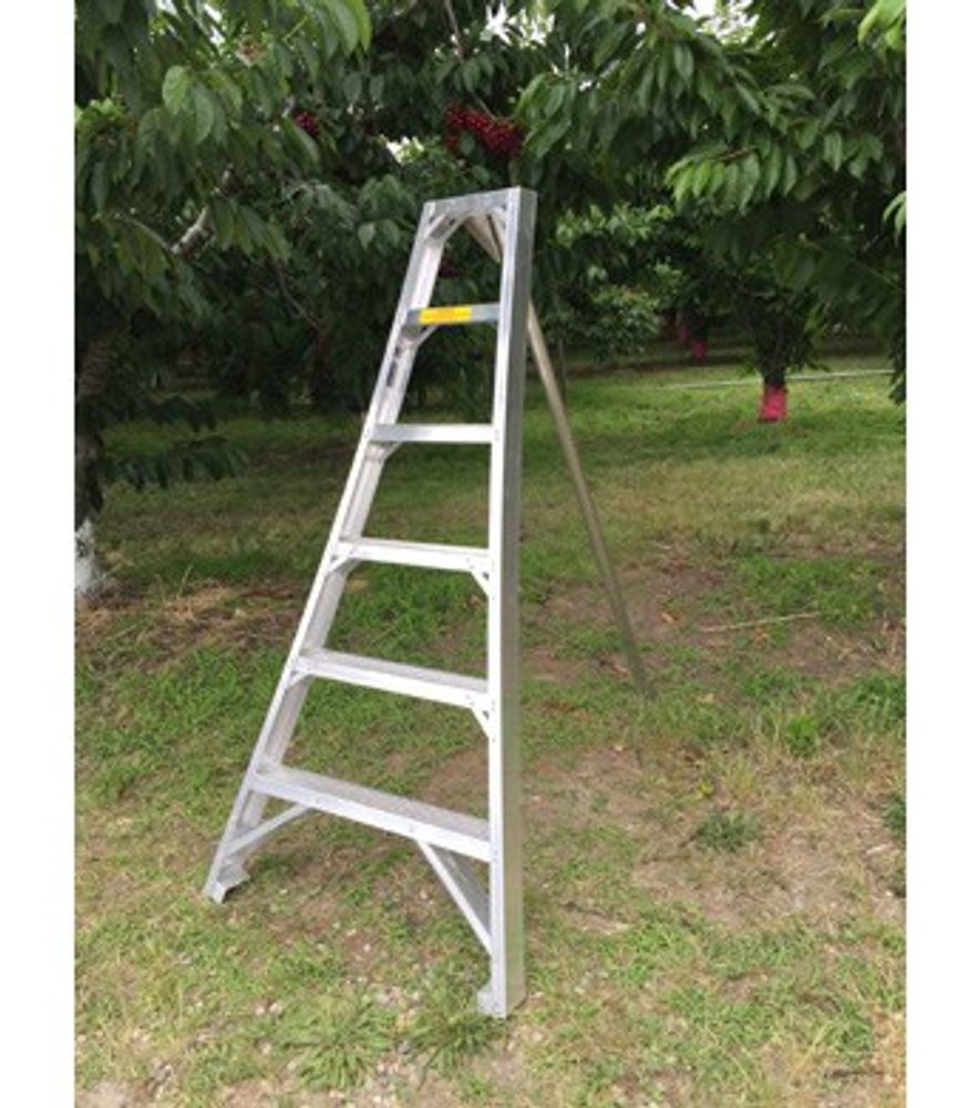 Ladder King, 6' Aluminum Orchard Ladder