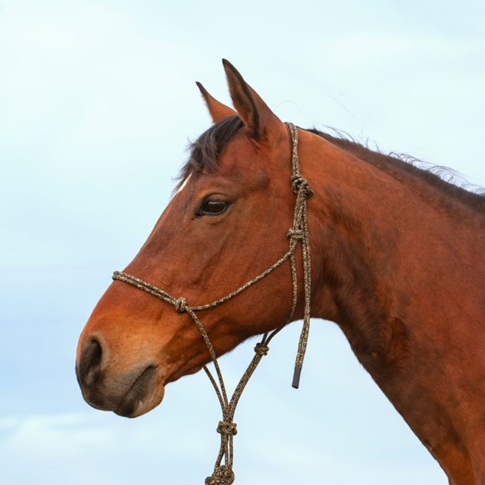 Classic Equine, Camo Premium Rope Halter 