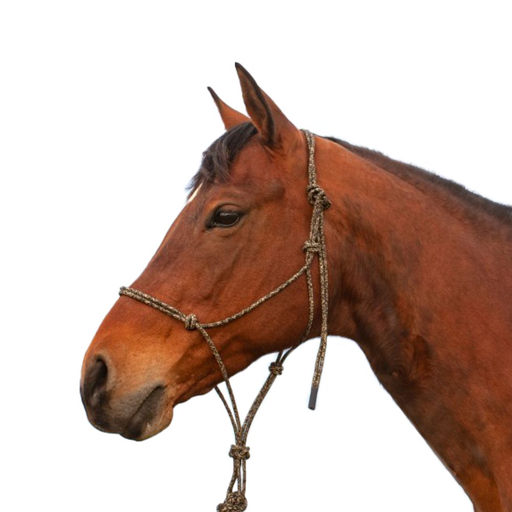 Classic Equine, Camo Premium Rope Halter 