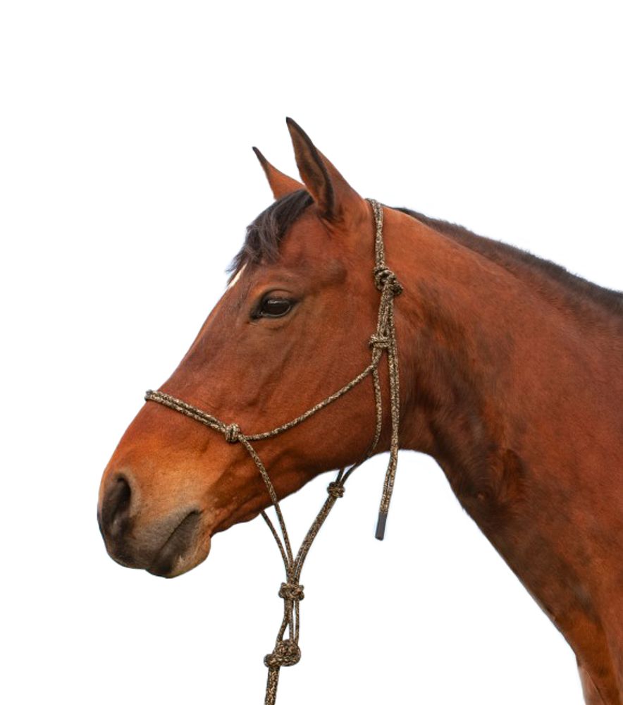 Classic Equine, Camo Premium Rope Halter