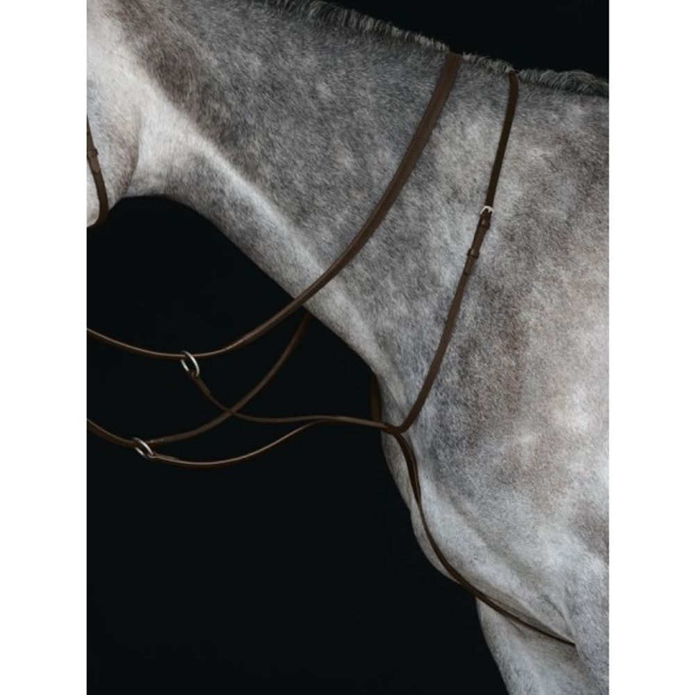 Weatherbeeta, Collegiate Brown Full Running Martingale IV