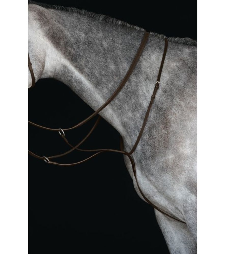 Weatherbeeta, Collegiate Brown Full Running Martingale IV