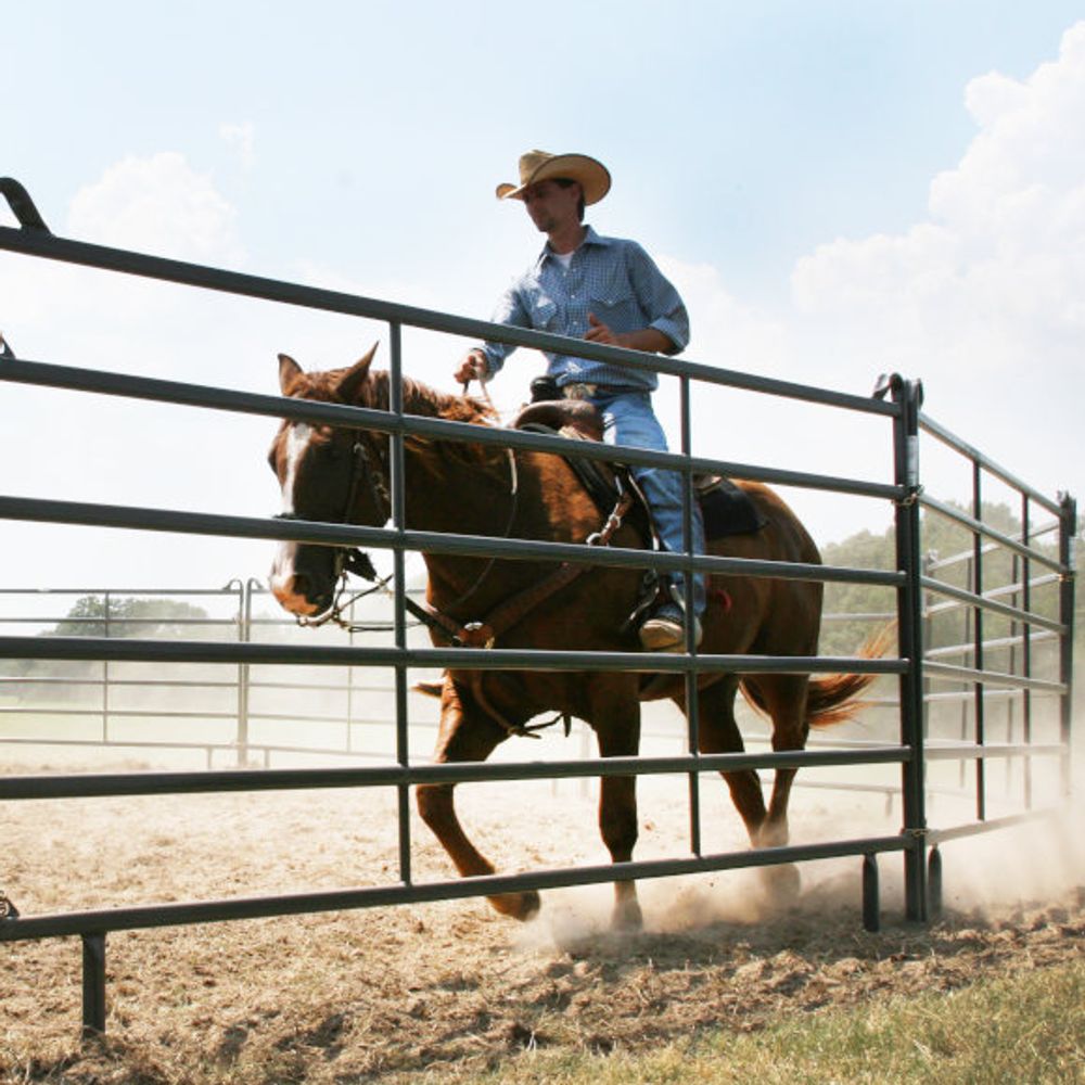 Priefert, 50' Premier Round Pen with Entrance Panel