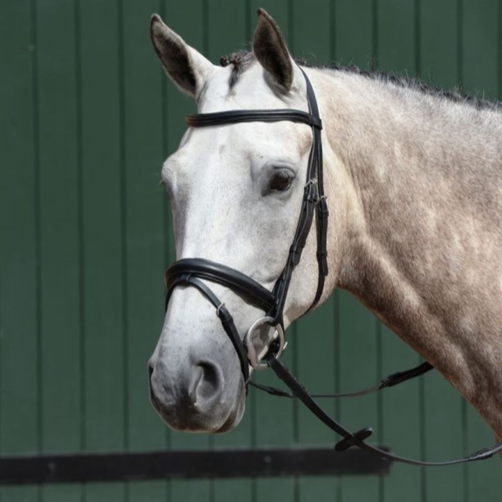 Weatherbeeta, Collegiate Black Full Essential Padded Raised Flash Bridle 
