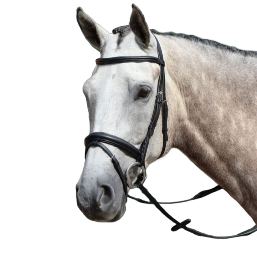 Weatherbeeta, Collegiate Black Full Essential Padded Raised Flash Bridle 
