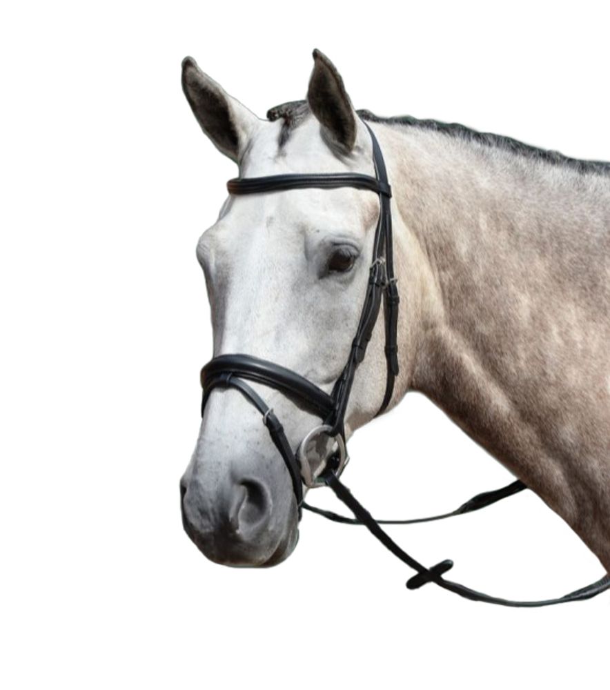 Weatherbeeta, Collegiate Black Full Essential Padded Raised Flash Bridle