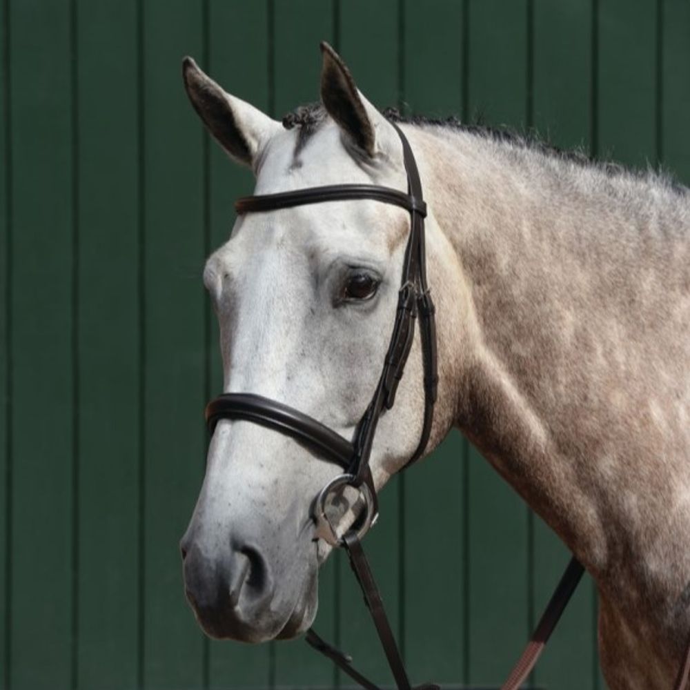 Weatherbeeta, Collegiate Brown Essential Padded Raised Cavesson Bridle