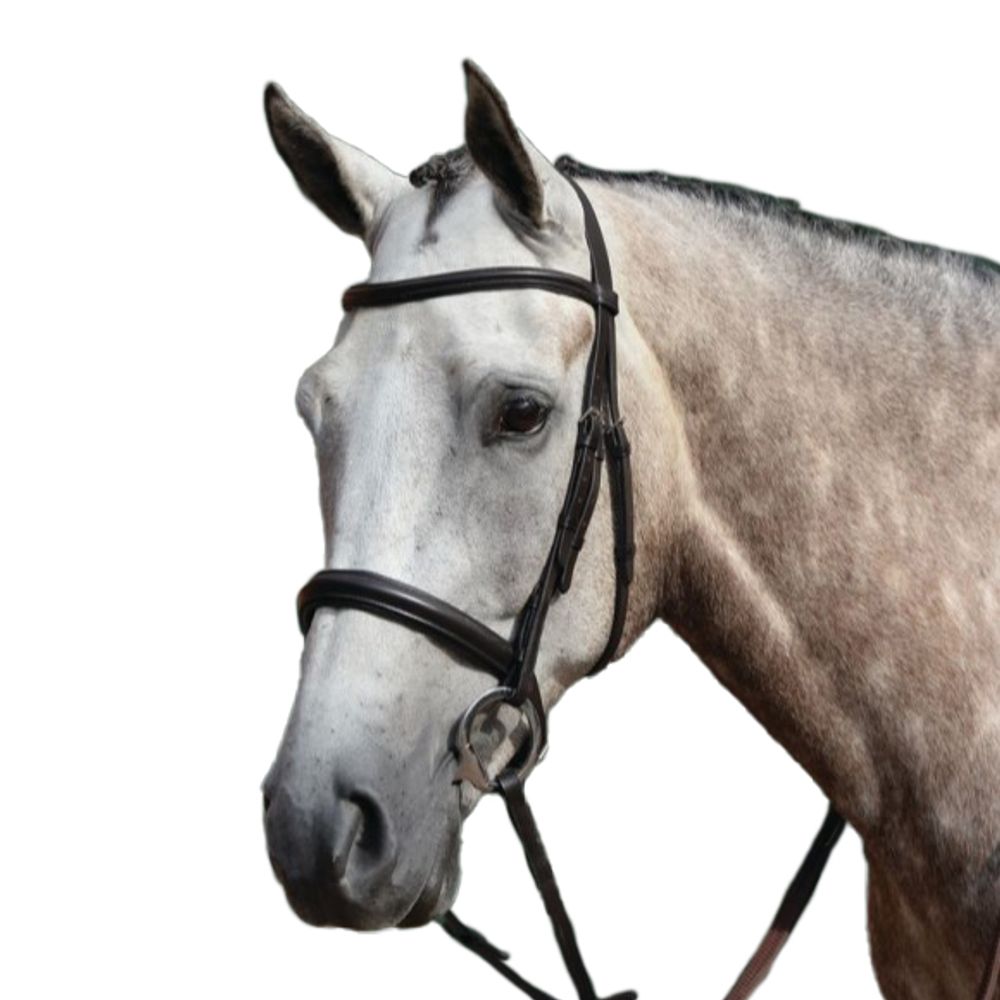 Weatherbeeta, Collegiate Brown Essential Padded Raised Cavesson Bridle