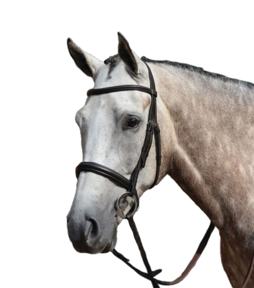 Weatherbeeta, Collegiate Brown Essential Padded Raised Cavesson Bridle