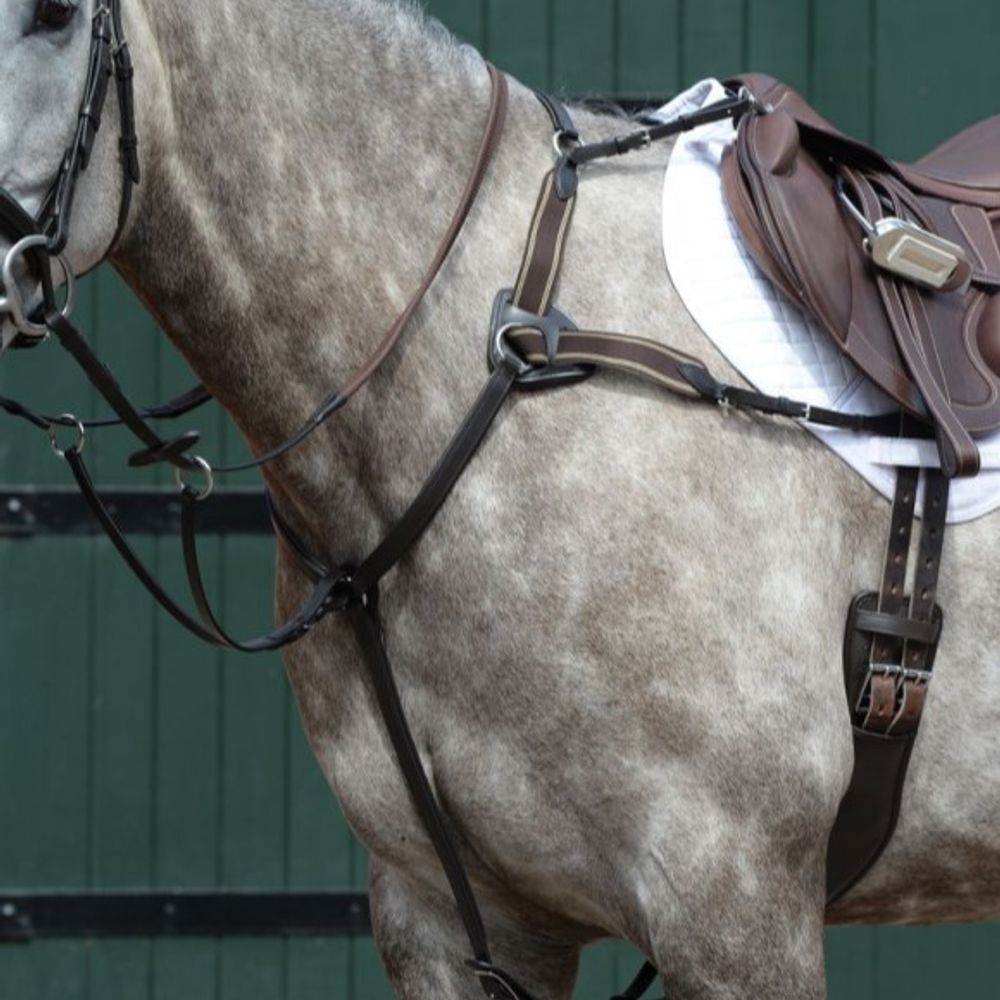 Weatherbeeta, Collegiate Brown Essential 5-Point Breastplate