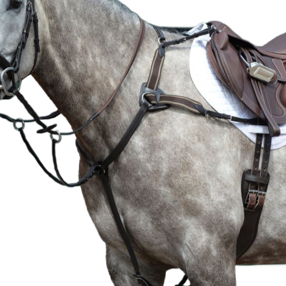 Weatherbeeta, Collegiate Brown Essential 5-Point Breastplate