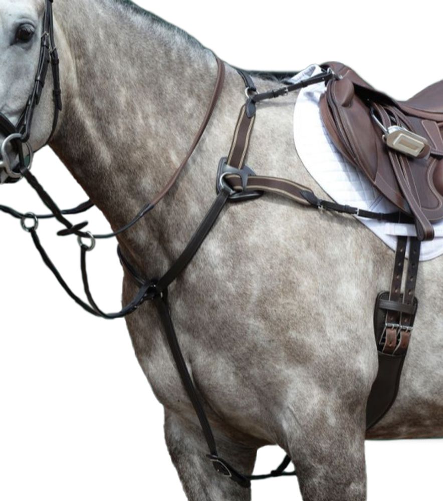 Weatherbeeta, Collegiate Brown Essential 5-Point Breastplate