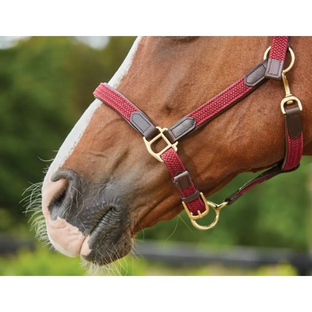 Kincade, Maroon Braided Leather Breakaway Headcollar 