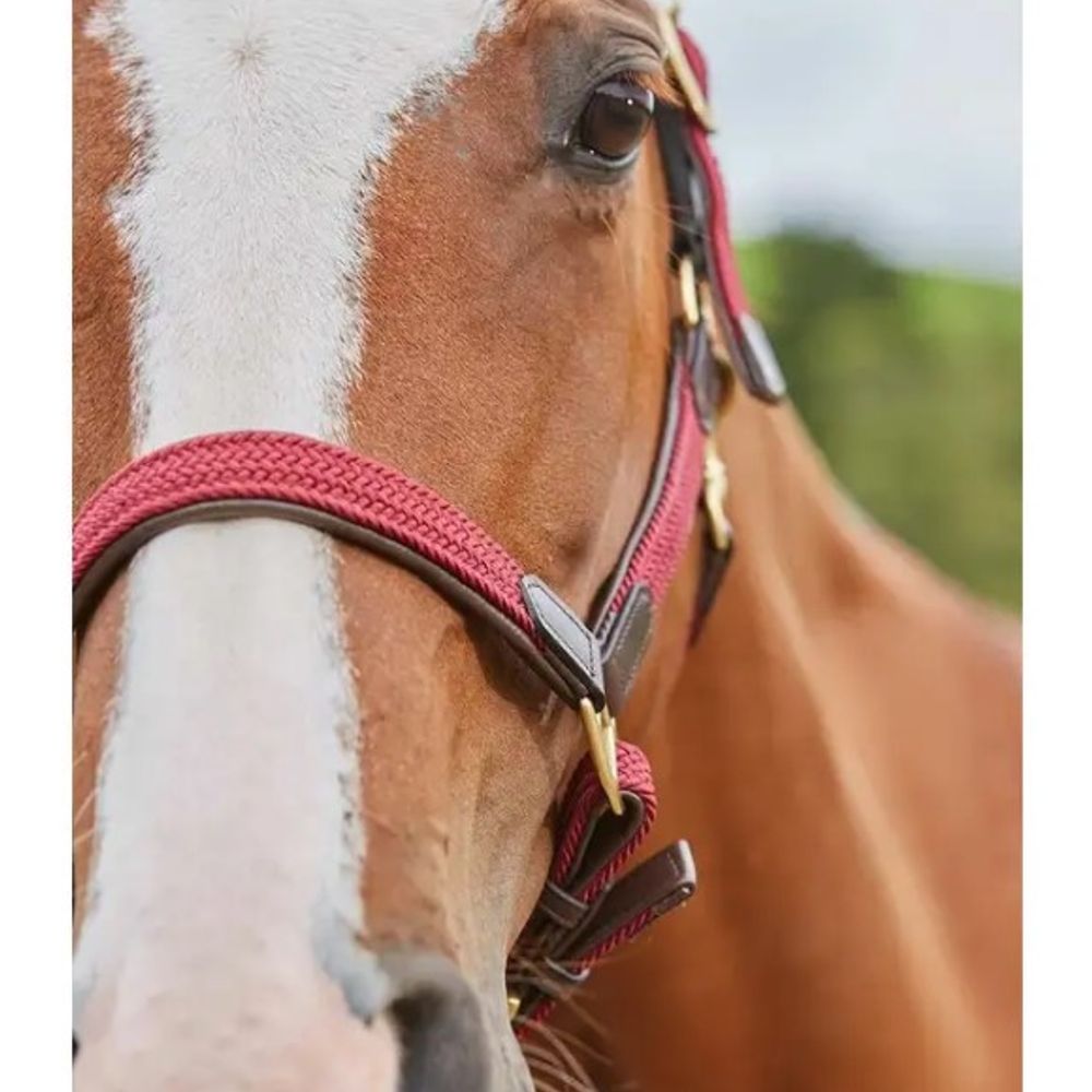 Kincade, Maroon Braided Leather Breakaway Headcollar 