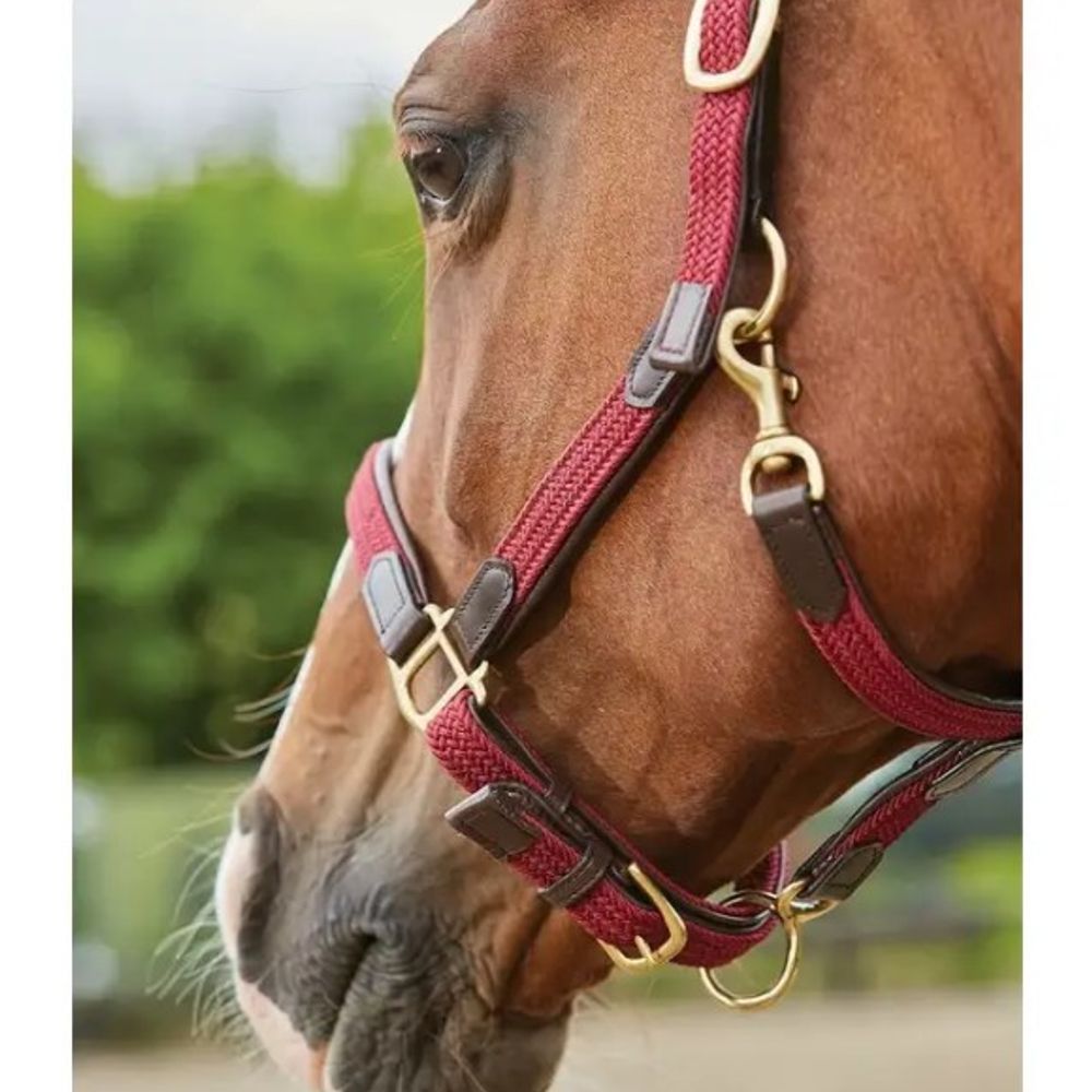 Kincade, Maroon Braided Leather Breakaway Headcollar 