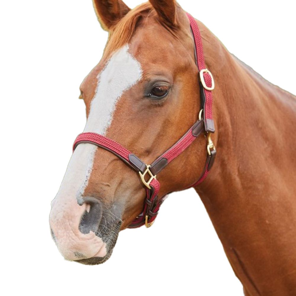 Kincade, Maroon Braided Leather Breakaway Headcollar 