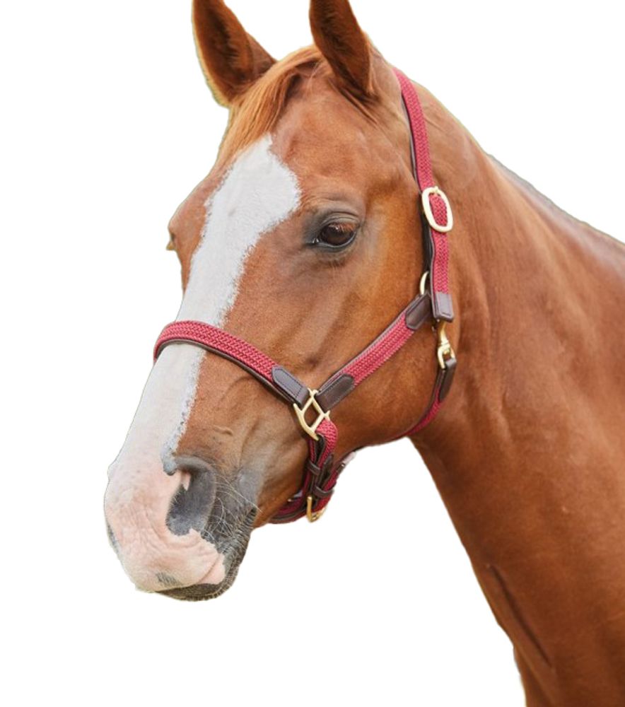 Kincade, Maroon Braided Leather Breakaway Headcollar