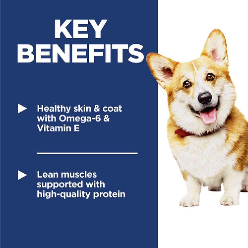 Science Diet, Adult Small Bites Chicken & Barley Recipe Dog Food