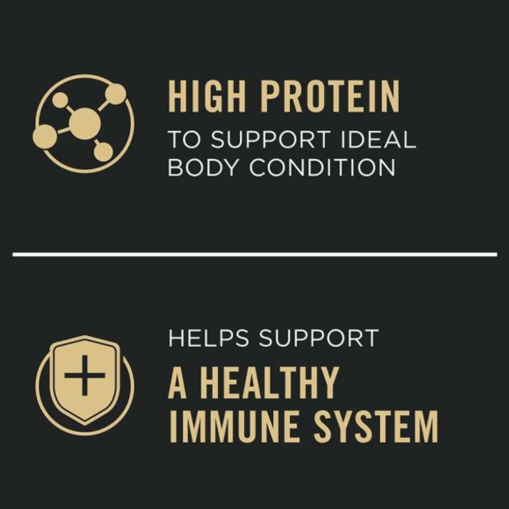 Purina Pro Plan, Complete Essentials Adult Lamb & Vegetables Entree Slices in Gravy Wet Dog Food, 13 oz