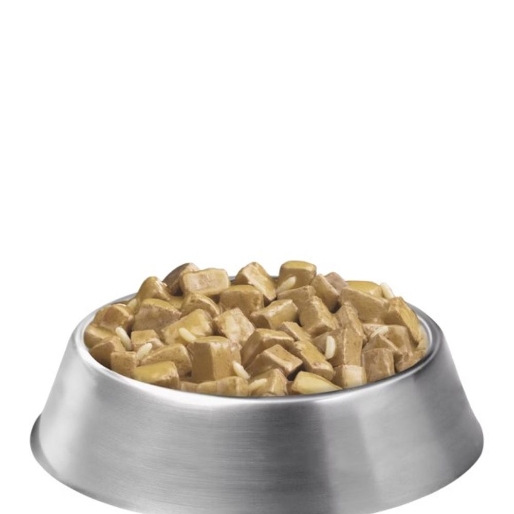 Purina Pro Plan, Adult Large Breed Chicken & Rice Entree Chunks in Gravy Wet Dog Food, 13 oz