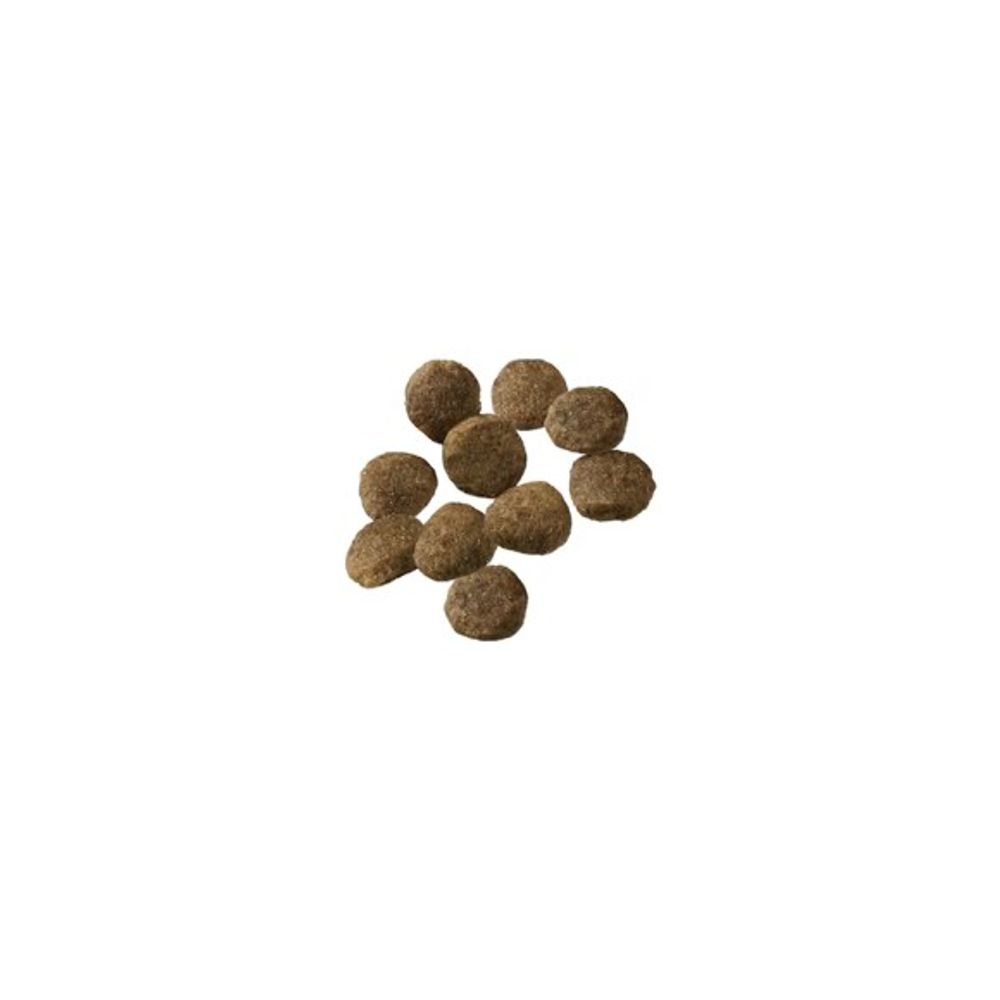 Purina Pro Plan, Puppy Sensitive Skin & Stomach Salmon & Rice Formula Dog Food, 24 lb 