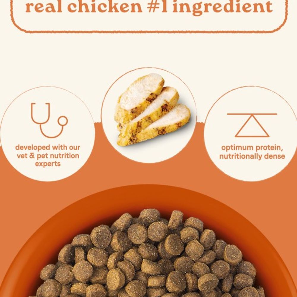 Canidae, All Life Stages Chicken & Ancient Grain Recipe Dog Food