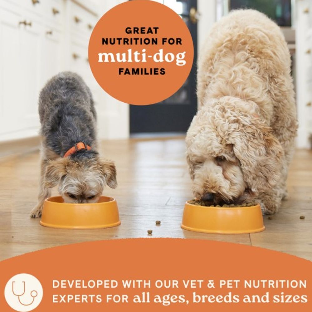 Canidae, All Life Stages Chicken & Ancient Grain Recipe Dog Food