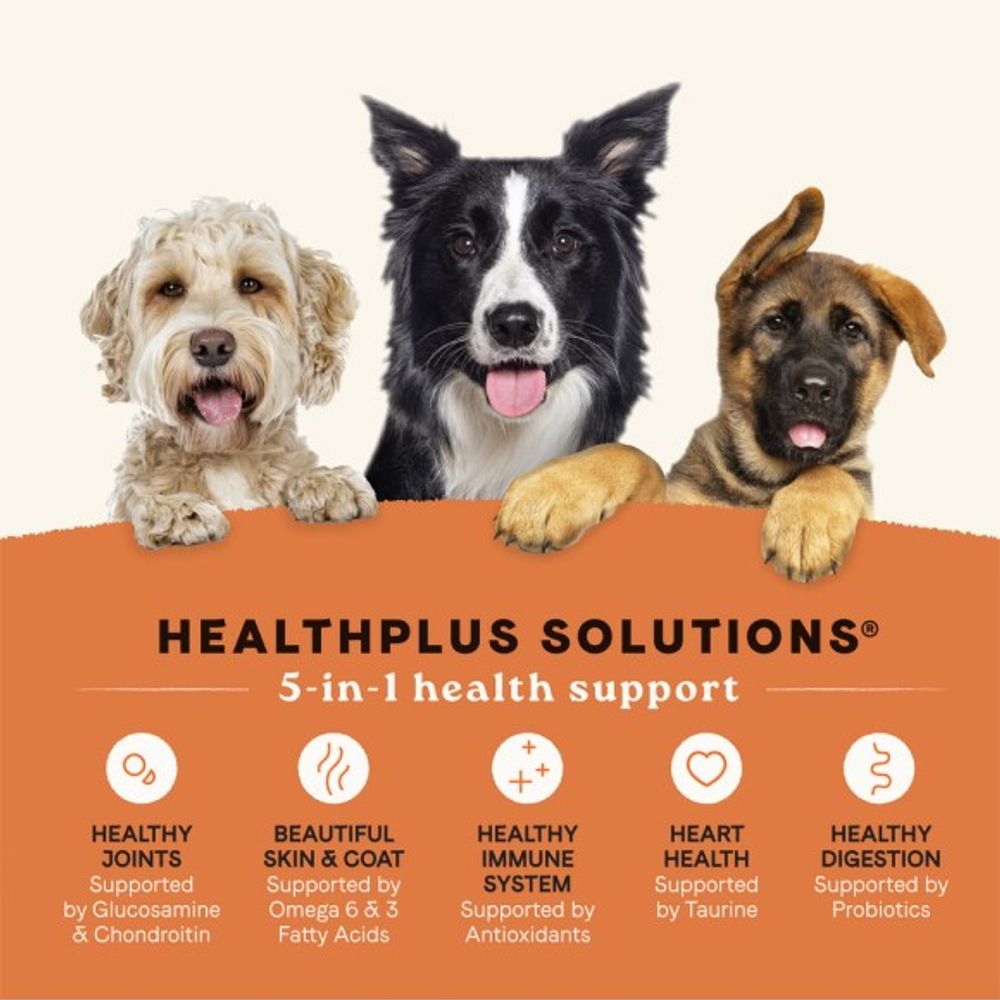 Canidae, All Life Stages Chicken & Ancient Grain Recipe Dog Food