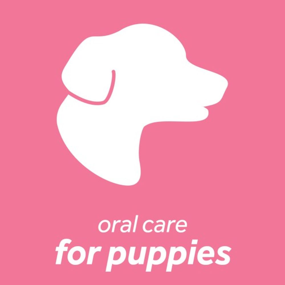Tropiclean, Fresh Breath Dental Health Solutions for Puppies, 16 oz