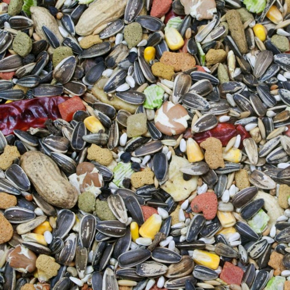 Higgins, Vita Seed Natural Blend Parrot Food, 25 lb