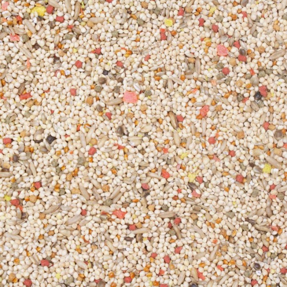 Higgins, Vita Seed Natural Blend Parakeet Food